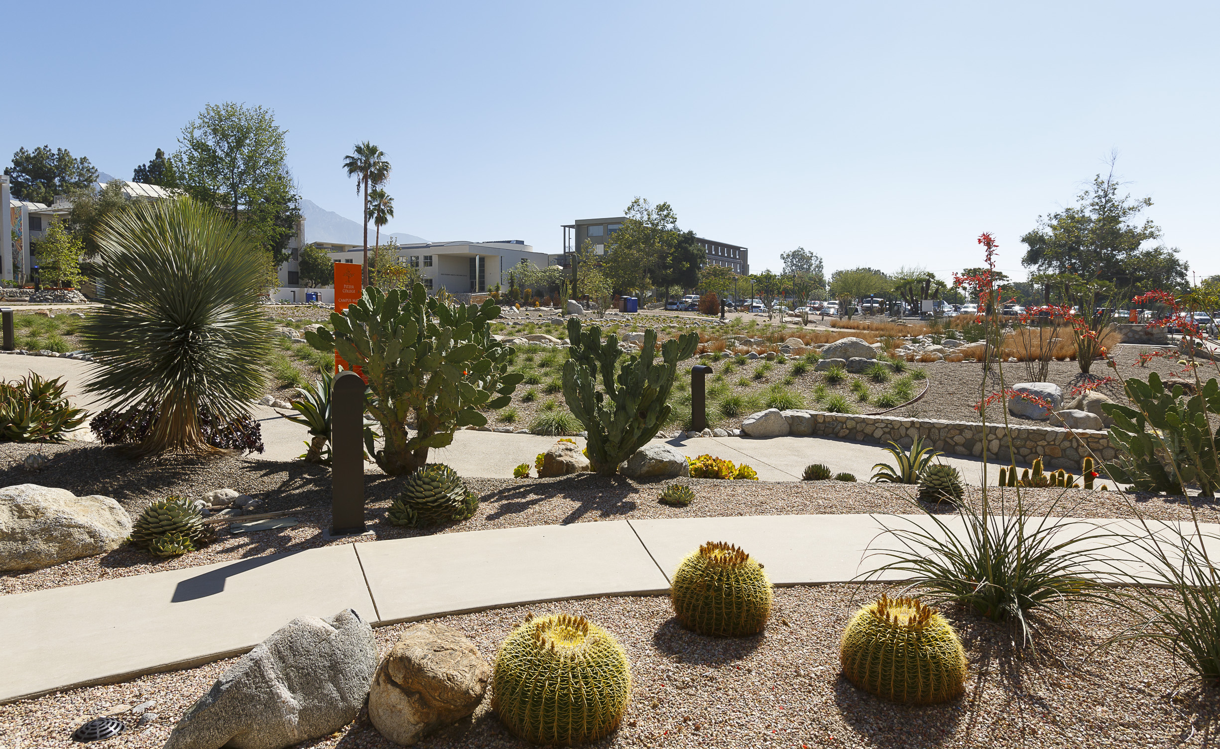 PITZER COLLEGE LANDSCAPE